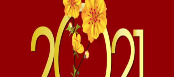 Happy New Year 2021